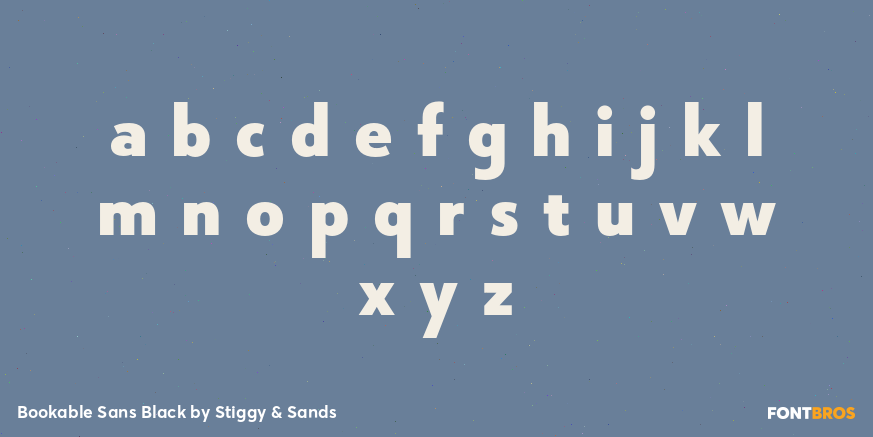 Bookable Sans Black Font Poster #3