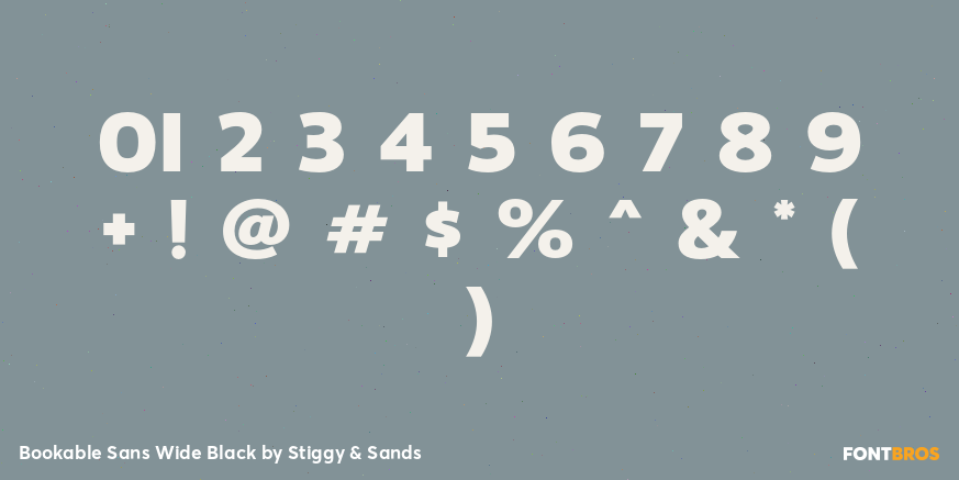 Bookable Sans Wide Black Font Poster #1