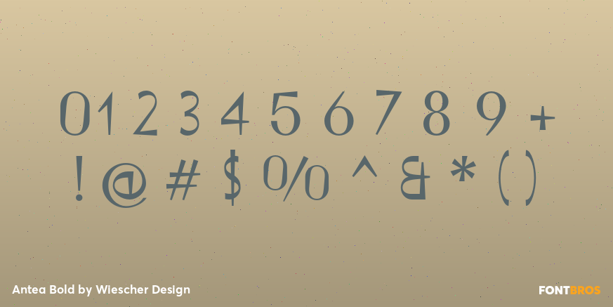 Antea Bold Font Poster #4