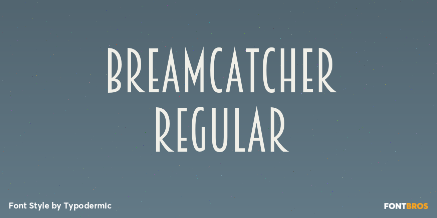Breamcatcher Regular Poster
