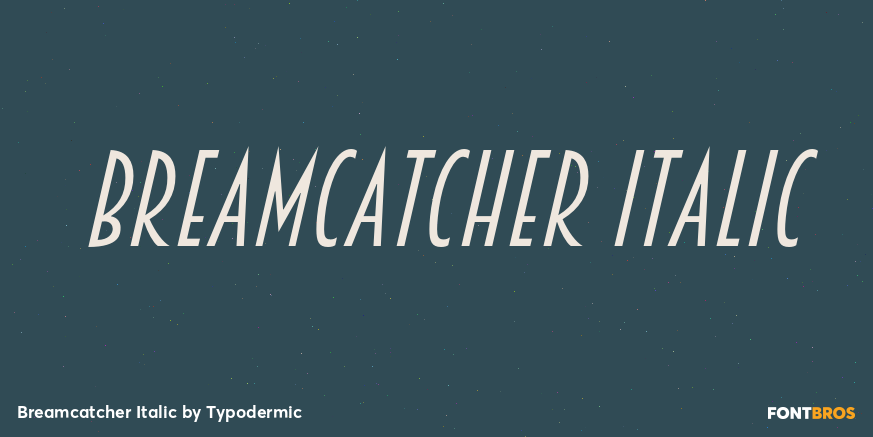 Breamcatcher Italic Poster