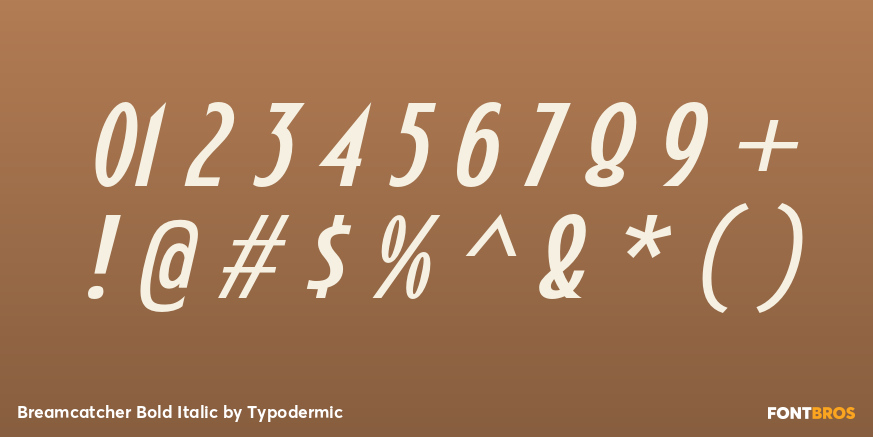 Breamcatcher Bold Italic Font Poster #4