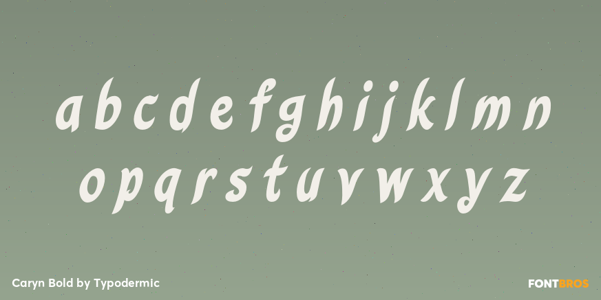 Caryn Bold Font Poster #3