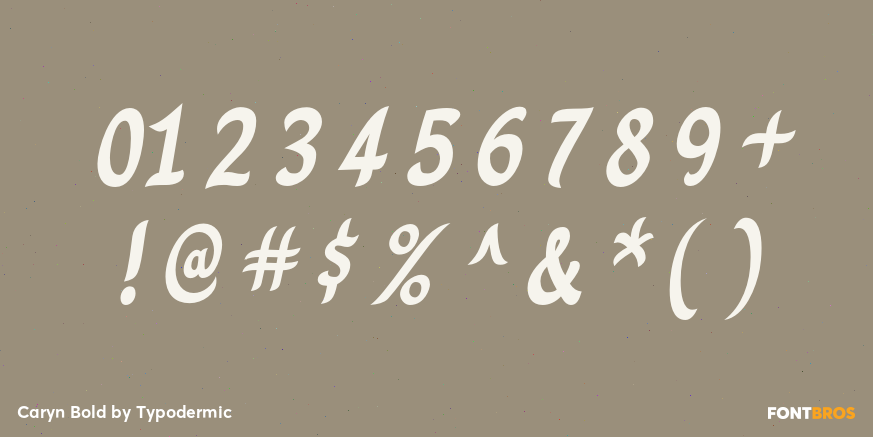 Caryn Bold Font Poster #4