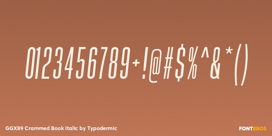 GGX89 Crammed Book Italic Font Poster #4
