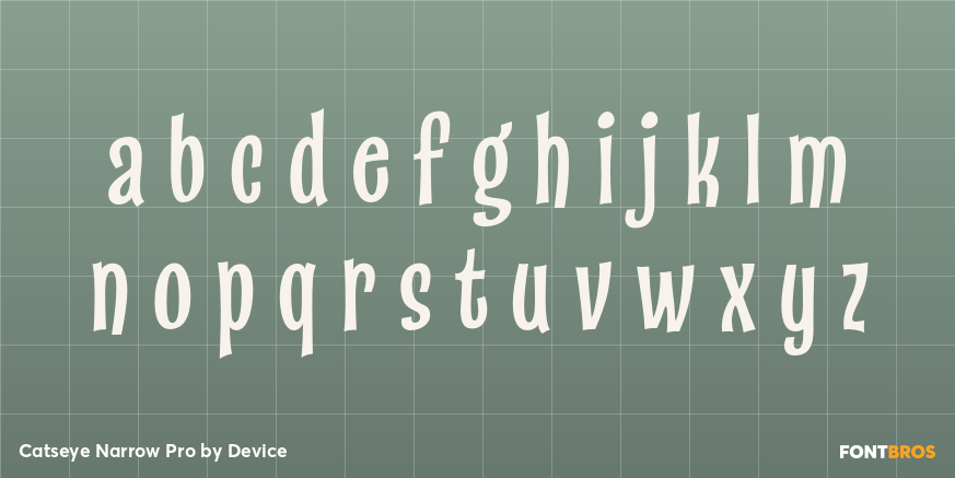 Catseye Narrow Pro Font Poster #3