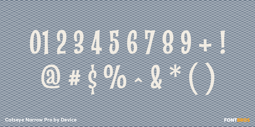 Catseye Narrow Pro Font Poster #4