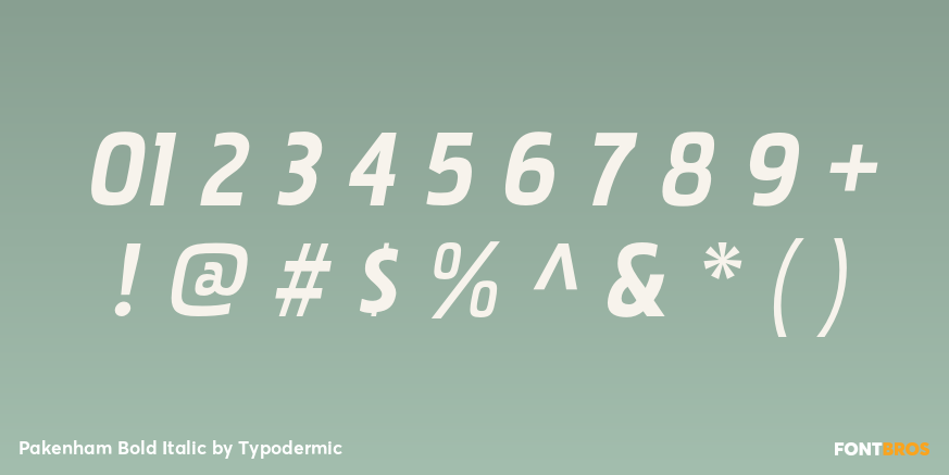 Pakenham Bold Italic Font Poster #1
