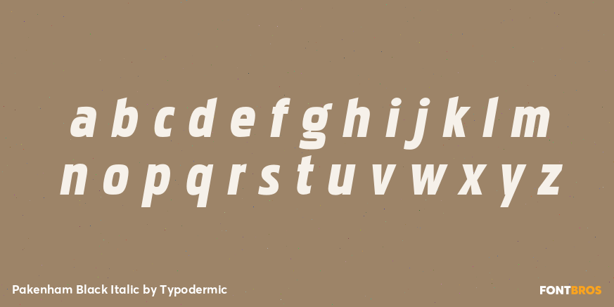 Pakenham Black Italic Font Poster #1