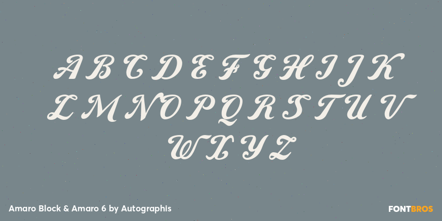 Amaro Block & Amaro 6 Font Poster #2