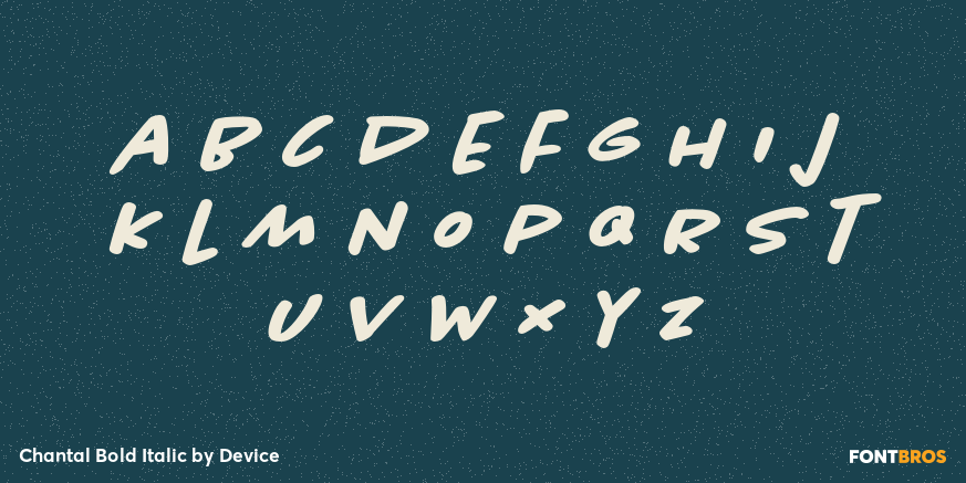 Chantal Bold Italic Font Poster #3