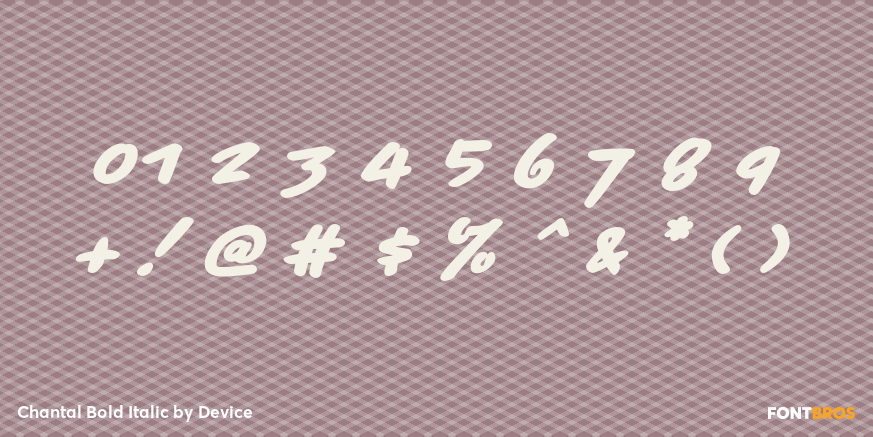 Chantal Bold Italic Font Poster #4