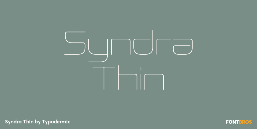 Syndra Thin Font Poster #1