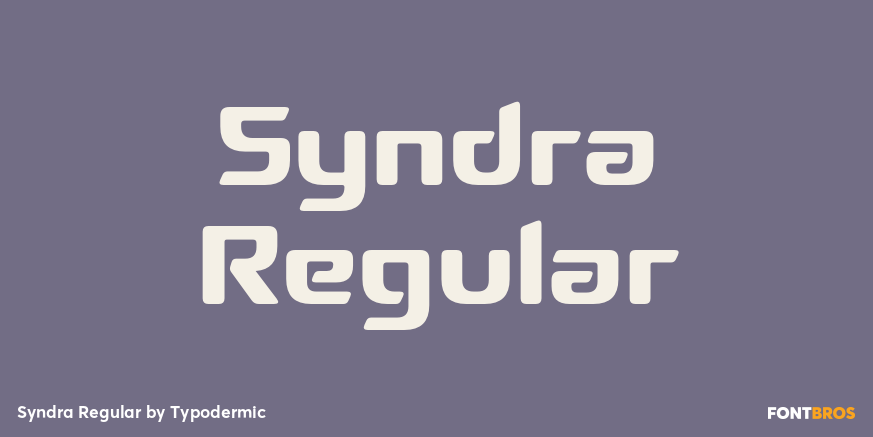 Syndra Regular Font Poster #1