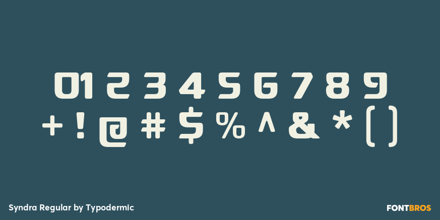 Syndra Regular Font Poster #4