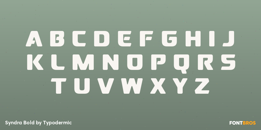 Syndra Bold Font Poster #2