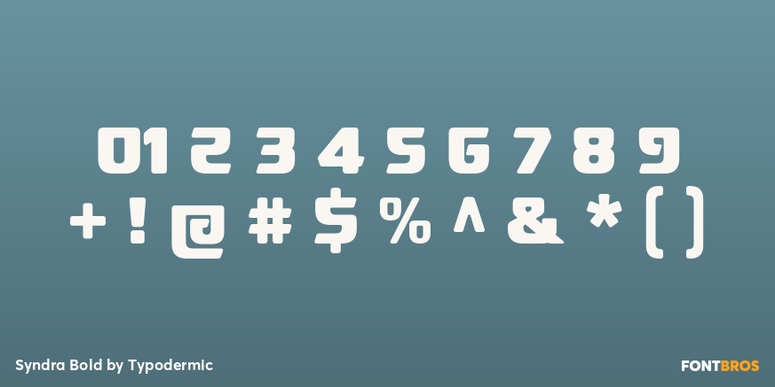 Syndra Bold Font Poster #4