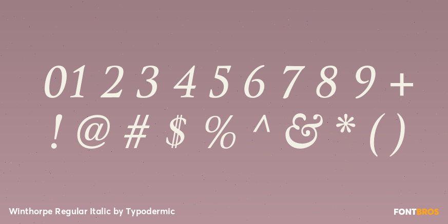 Winthorpe Regular Italic Font Poster #4