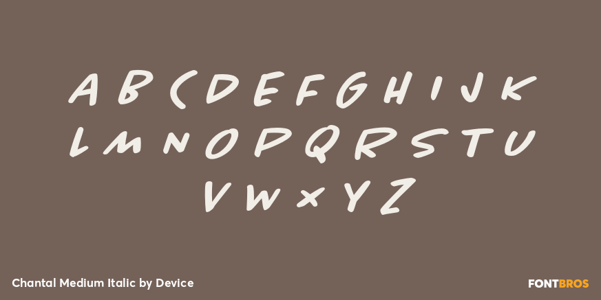 Chantal Medium Italic Font Poster #2