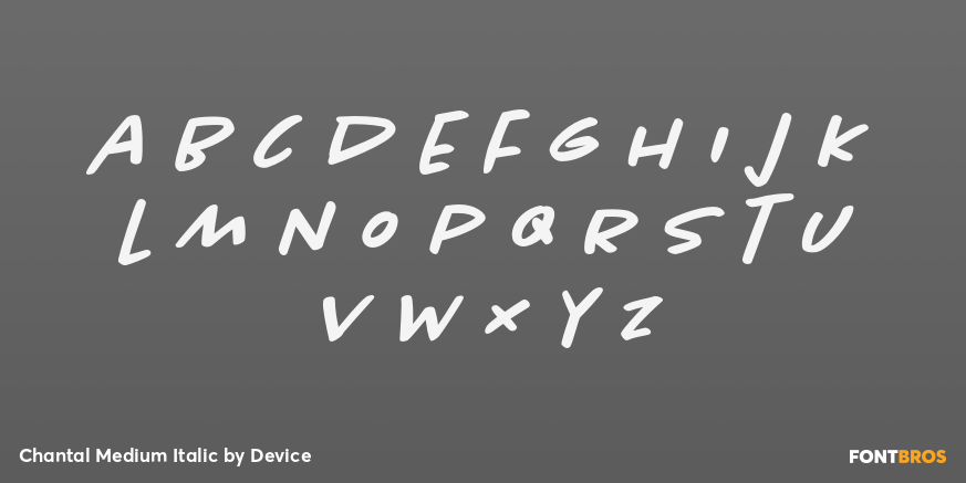 Chantal Medium Italic Font Poster #3