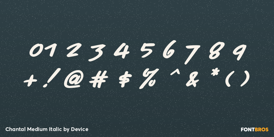 Chantal Medium Italic Font Poster #4