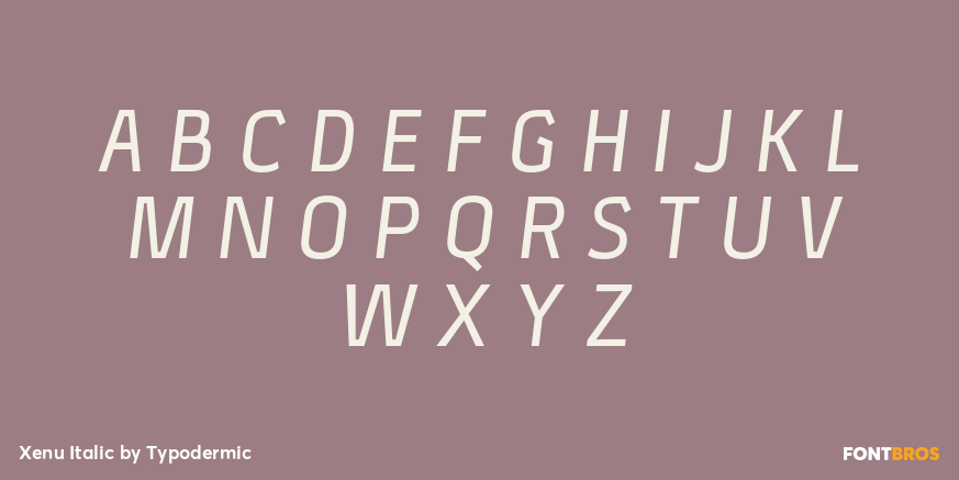 Xenu Italic Font Poster #2