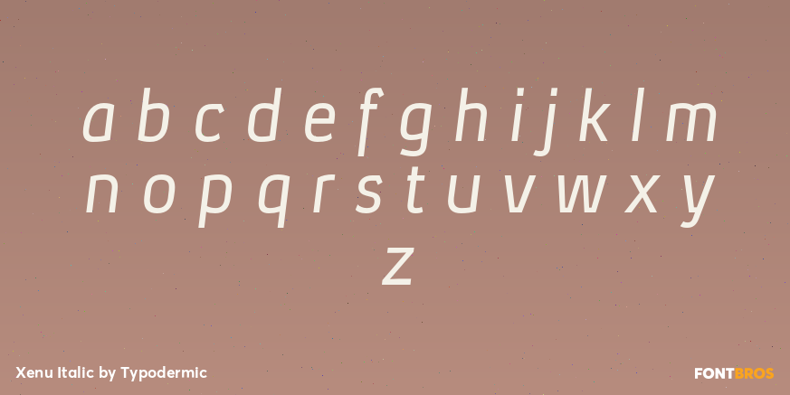 Xenu Italic Font Poster #3