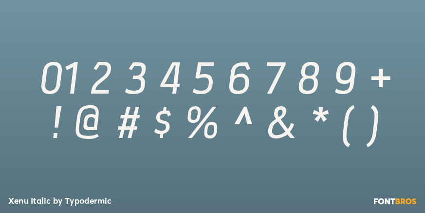 Xenu Italic Font Poster #4