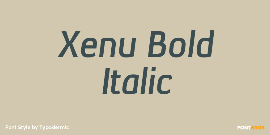 Xenu Bold Italic Font Poster #1