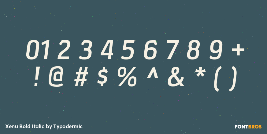 Xenu Bold Italic Font Poster #1