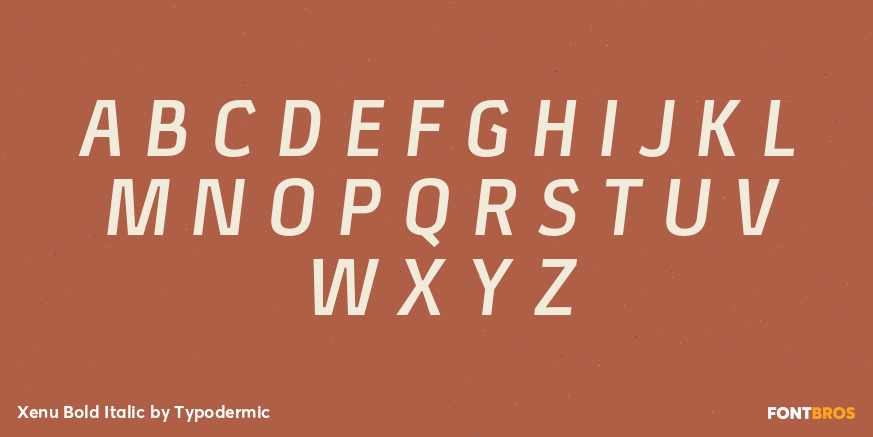 Xenu Bold Italic Font Poster #2