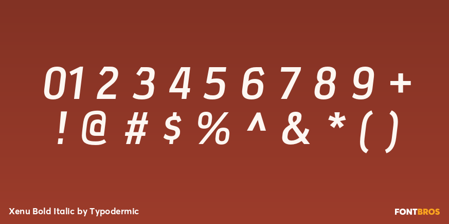 Xenu Bold Italic Font Poster #4