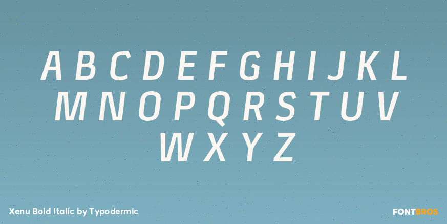 Xenu Bold Italic Font Poster #1