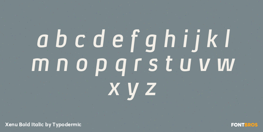 Xenu Bold Italic Font Poster #1