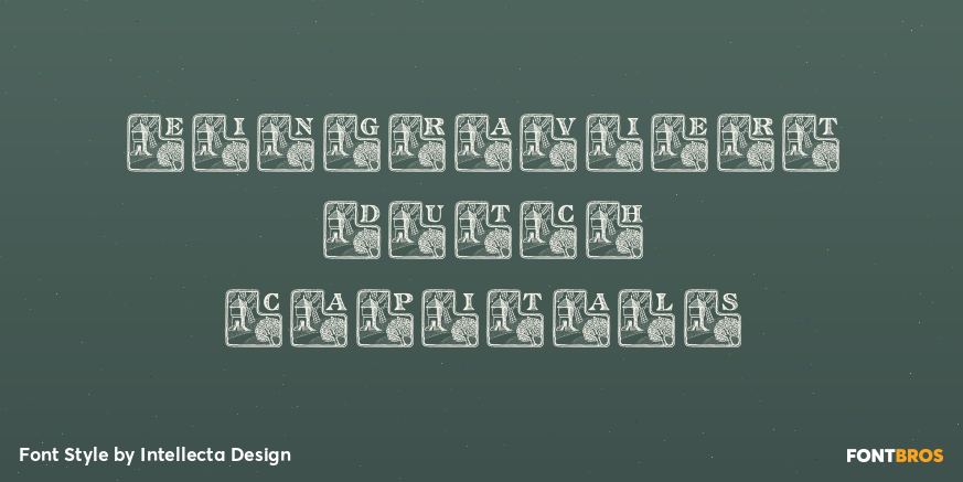 Eingraviert Dutch Capitals Poster