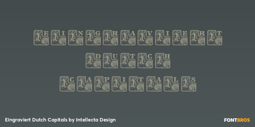 Eingraviert Dutch Capitals Poster