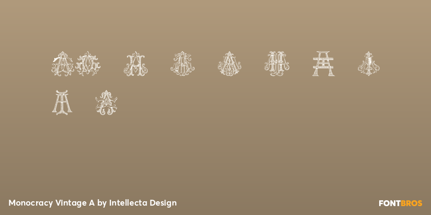 Monocracy Vintage A Font Poster #4