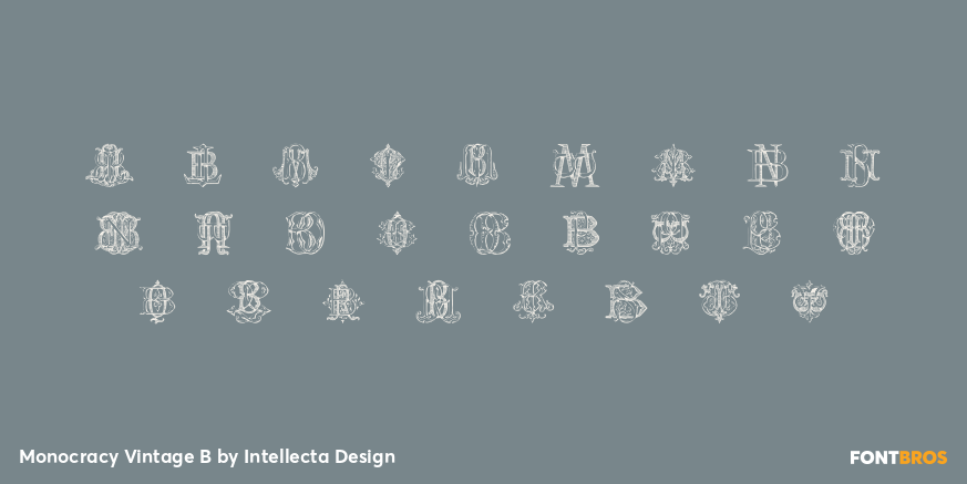 Monocracy Vintage B Font Poster #3