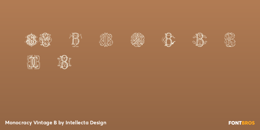 Monocracy Vintage B Font Poster #4