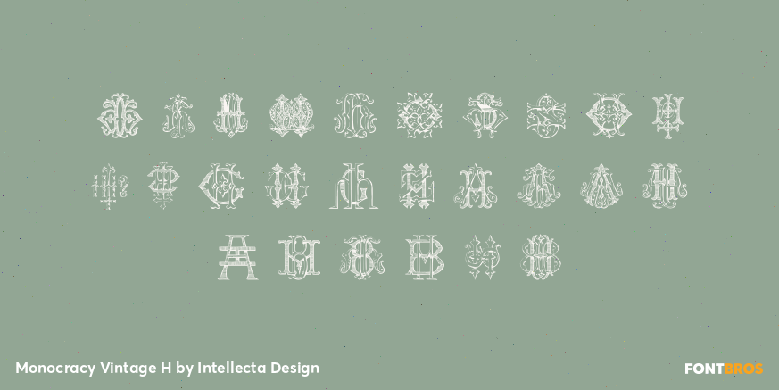 Monocracy Vintage H Font Poster #3