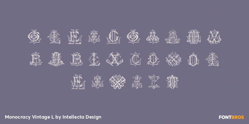 Monocracy Vintage L Font Poster #3