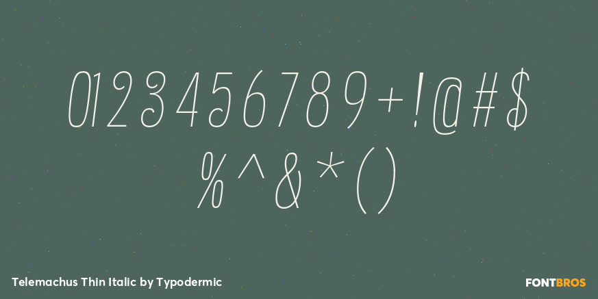 Telemachus Thin Italic Font Poster #1
