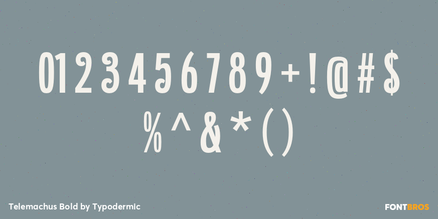 Telemachus Bold Font Poster #4