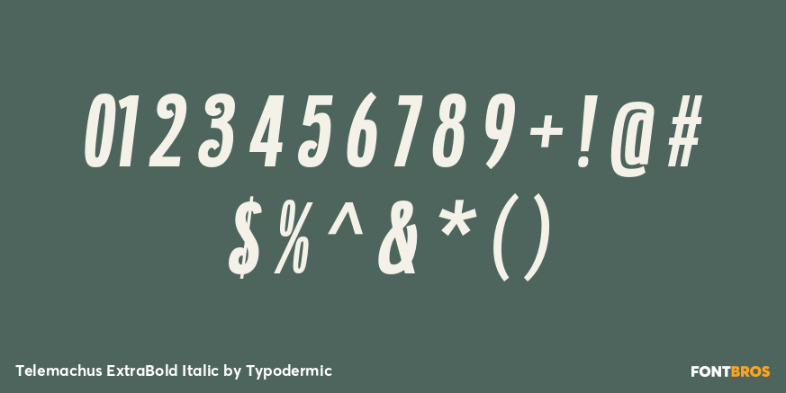 Telemachus ExtraBold Italic Font Poster #4