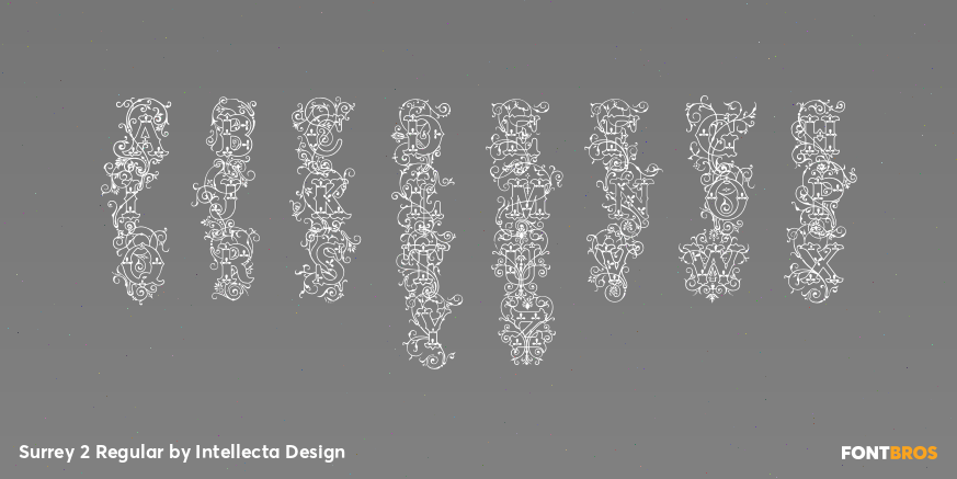 Surrey 2 Regular Font Poster #2