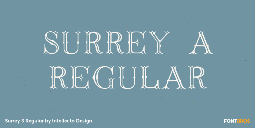 Surrey 3 Regular Font Poster #1
