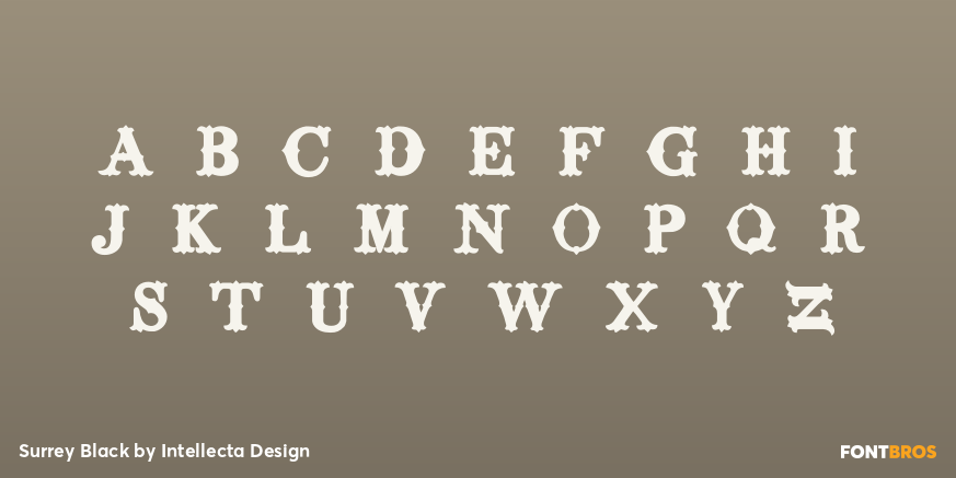 Surrey Black Font Poster #3
