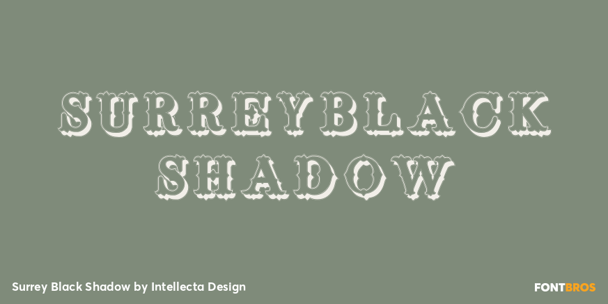 Surrey Black Shadow Font Poster #1
