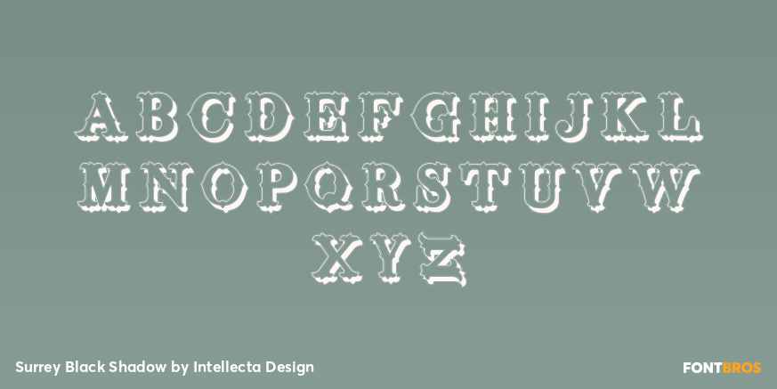 Surrey Black Shadow Font Poster #3