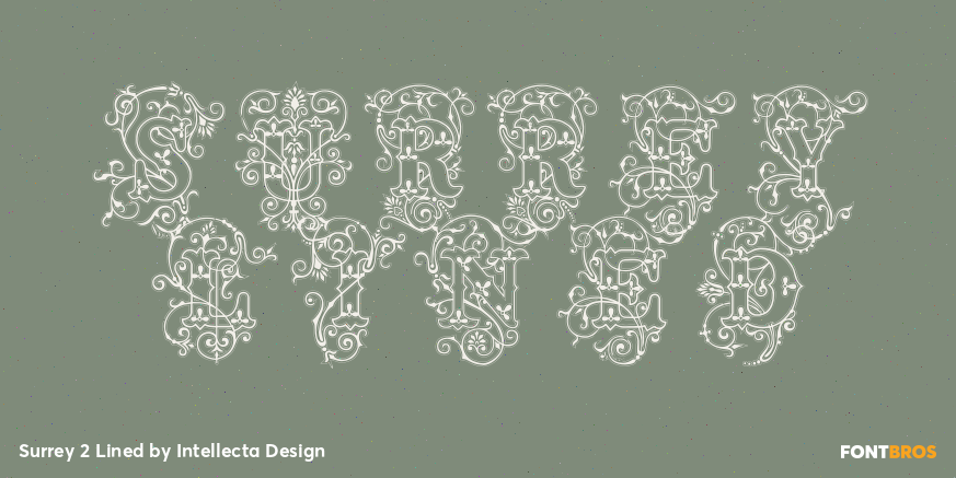 Surrey 2 Lined Poster